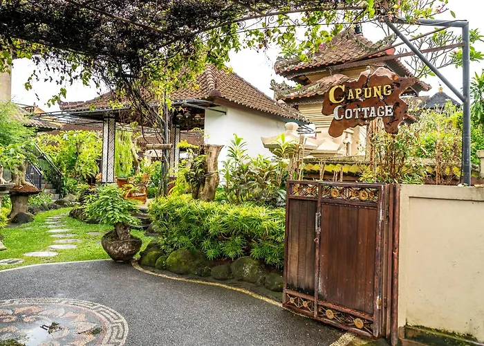 Capung * Ubud